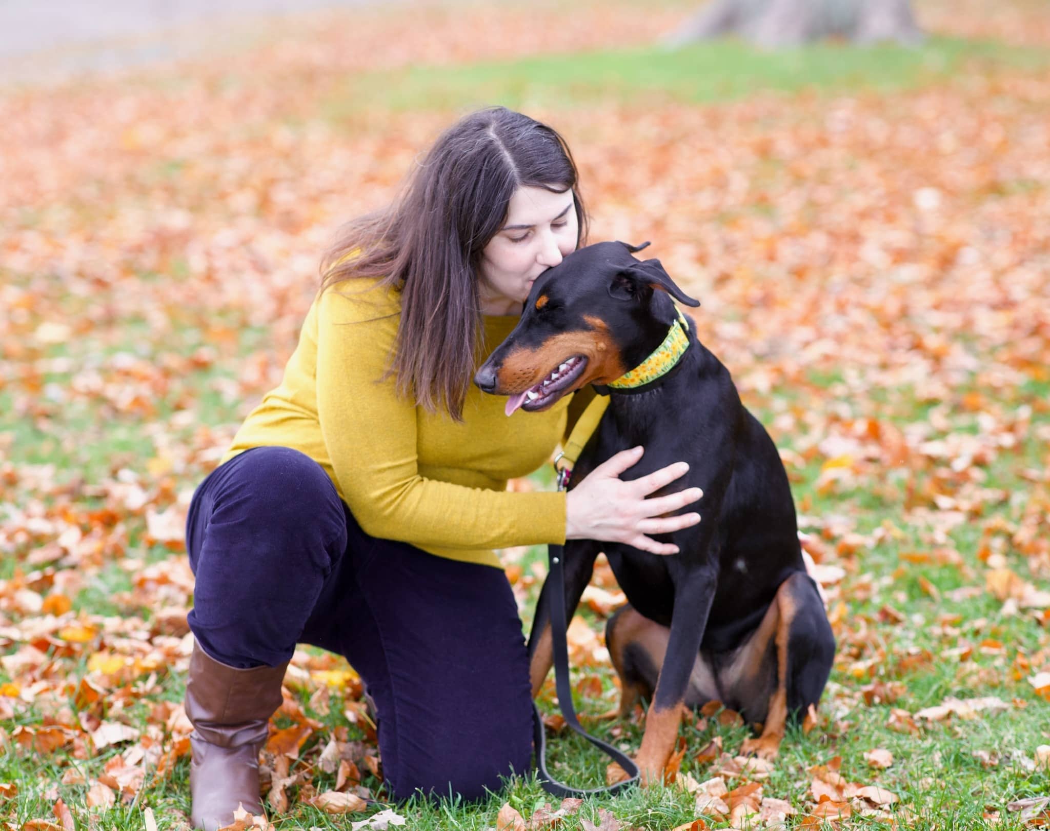 Dog Trainer in Rowley, MA